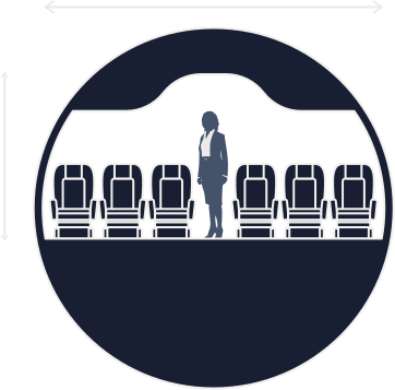 fuselage cut
